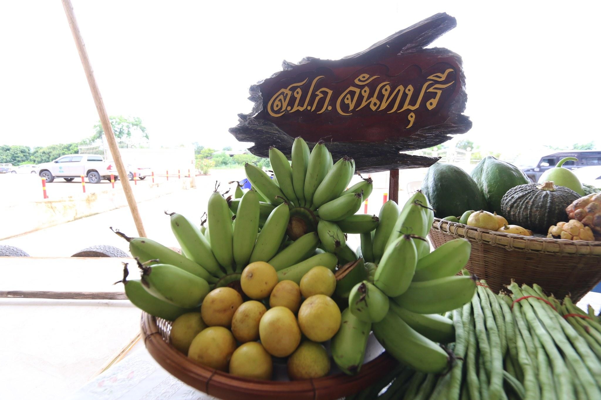 title - ส.ป.ก.จันทบุรี ร่วมลงพื้นที่ติดตามคณะรัฐมนตรีว่าการกระทรวงเกษตรและสหกรณ์ (ร้อยเอกธรรมนัส พรหมเผ่า)